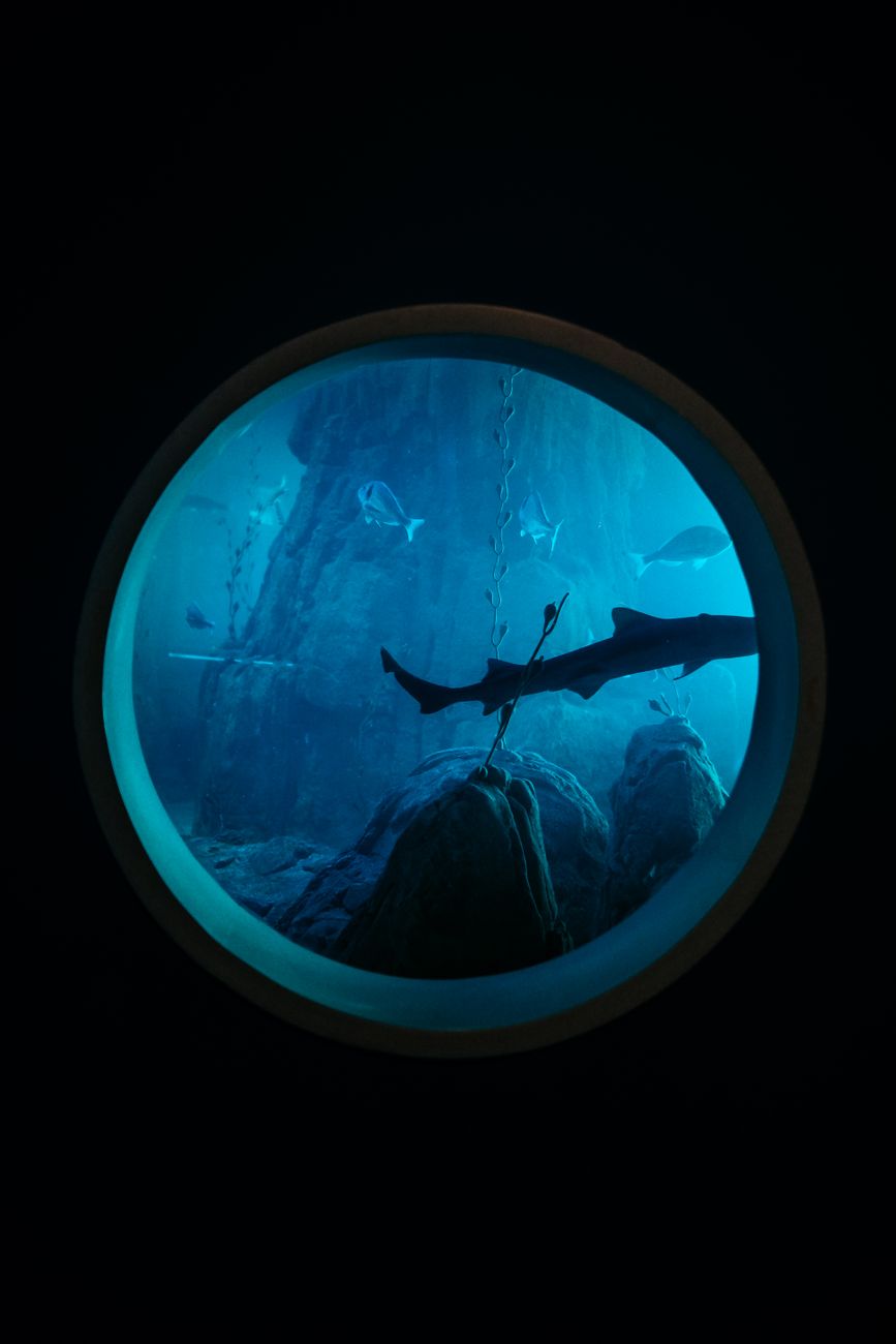 Detailed technical specification diagram for Show HN: Silent Shark – tactical map-based WWII submarine sim